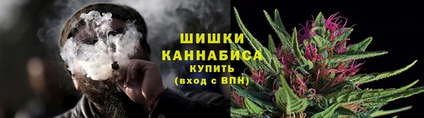 трава Арсеньев