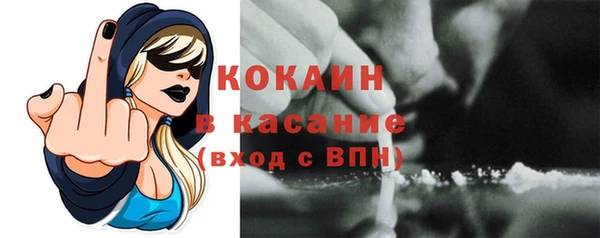 трава Арсеньев